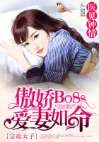 ҽ飺BOSS